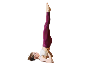 Shoulder Stand
