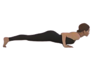 Pilates Push-Up