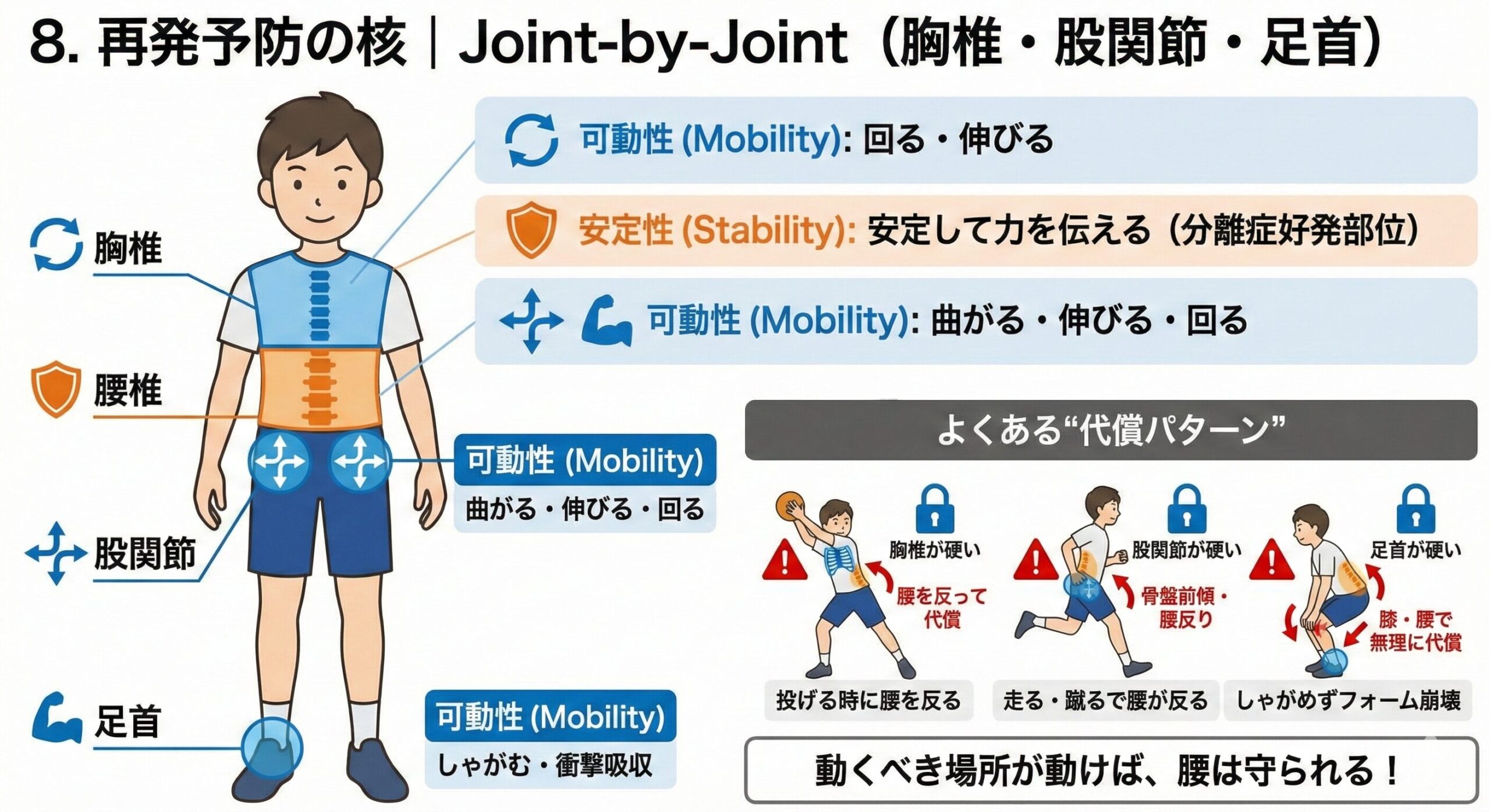 小学生の腰椎分離症|最新エビデンスで変わる「治し方・戻し方」完全ガイド